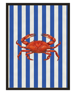 Crabe Raye avec cadre