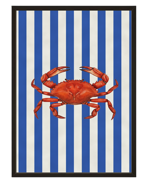 Crabe Raye avec cadre