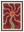 Fleur Rouge avec cadre