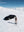 Piste Blanche sans cadre