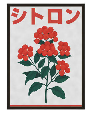 Baies Japonaises avec cadre