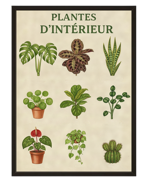 Plantes D Interieur avec cadre