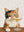 Le Chat Sommelier sans cadre