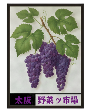 Grappe De Vigne avec cadre