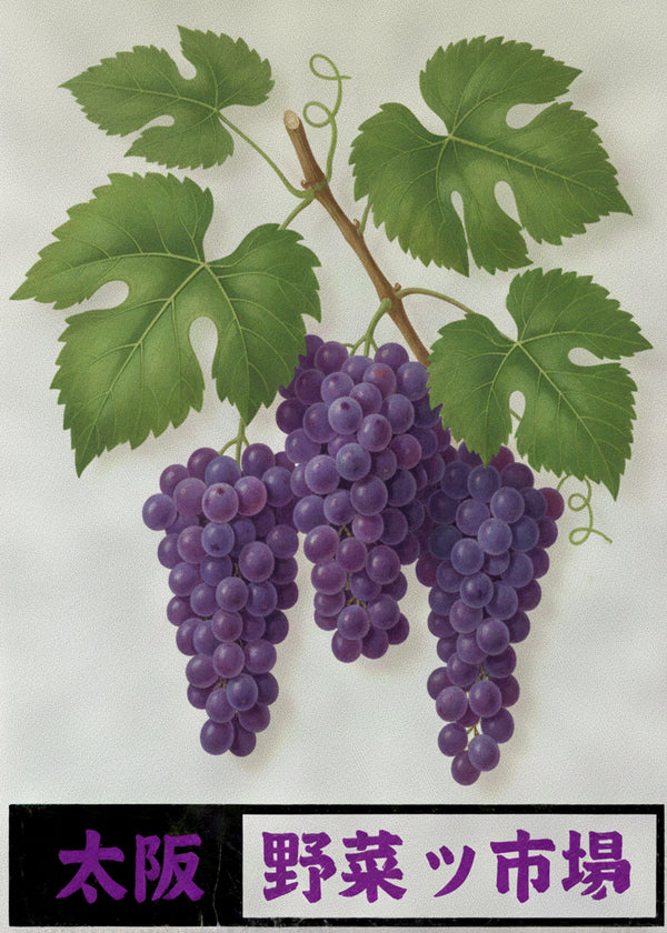 Grappe De Vigne sans cadre