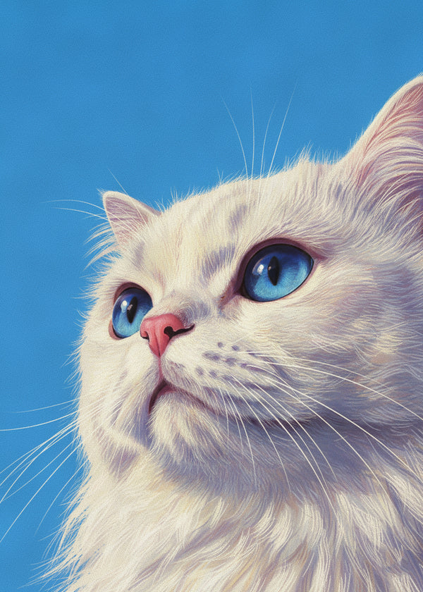 Le Chat Blanc sans cadre