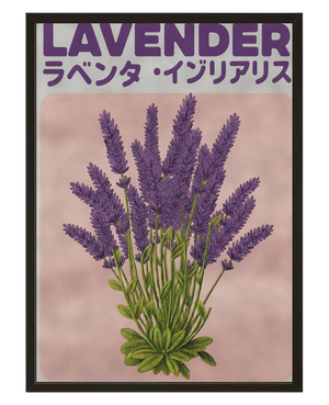 Lavande Vintage avec cadre
