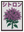 Plante Mauve avec cadre