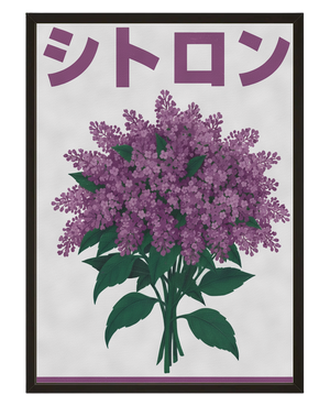 Plante Mauve avec cadre