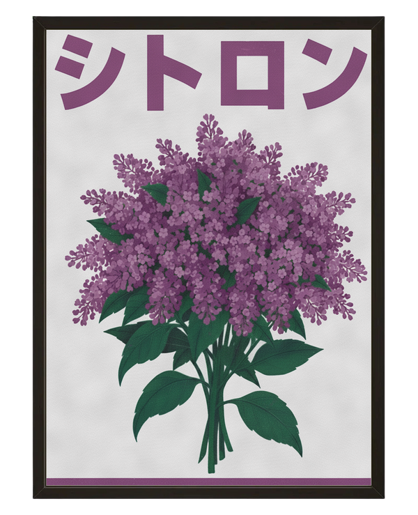 Plante Mauve avec cadre