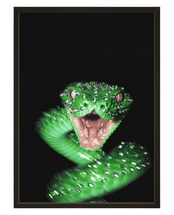 Venin Vert avec cadre