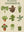 Plantes D Interieur sans cadre