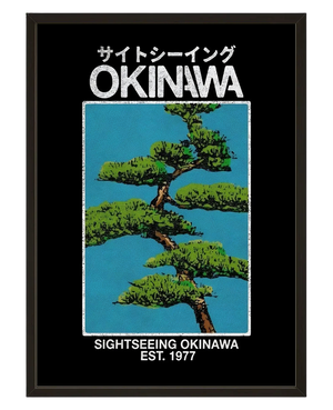 Pins Okinawa avec cadre