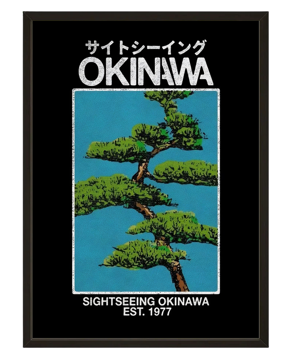 Pins Okinawa avec cadre