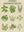 Herbes Aromatiques sans cadre