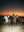 Cavaliers Du Crepuscule sans cadre