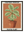 Calathea Orbifolia avec cadre