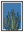 Le Cactus avec cadre
