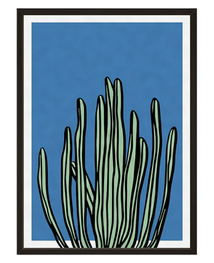 Le Cactus avec cadre