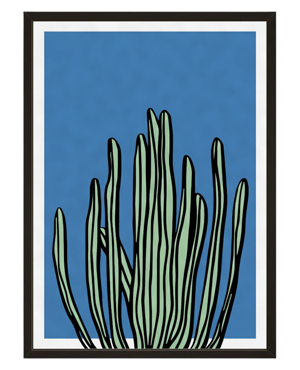 Le Cactus avec cadre