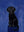 Chien Fidele sans cadre