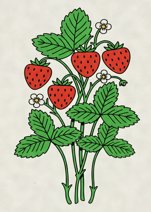 Fraises Sauvages sans cadre