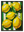 Citrons Rayes avec cadre