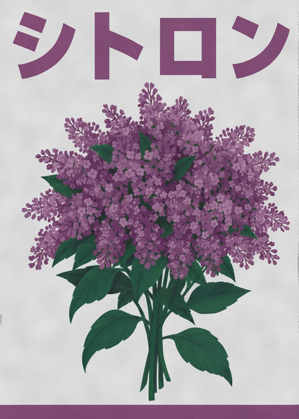 Plante Mauve sans cadre