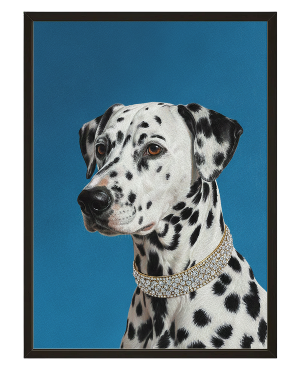 Regard Dalmatien avec cadre