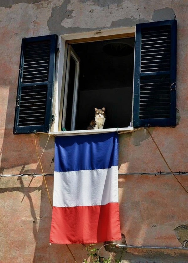 Le Guetteur Francais sans cadre