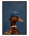 Canard Indigo