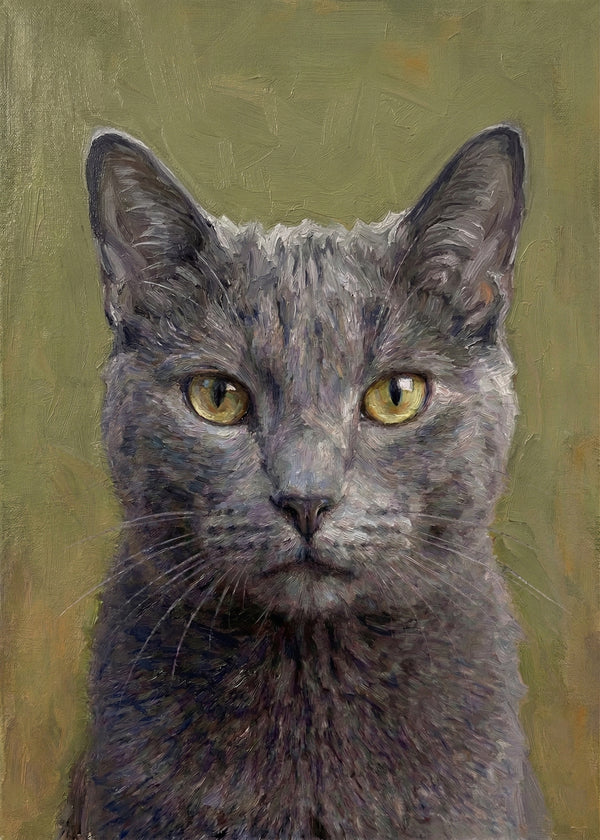 Majeste Feline sans cadre