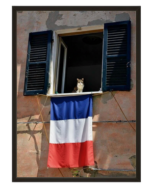 Le Guetteur Francais avec cadre