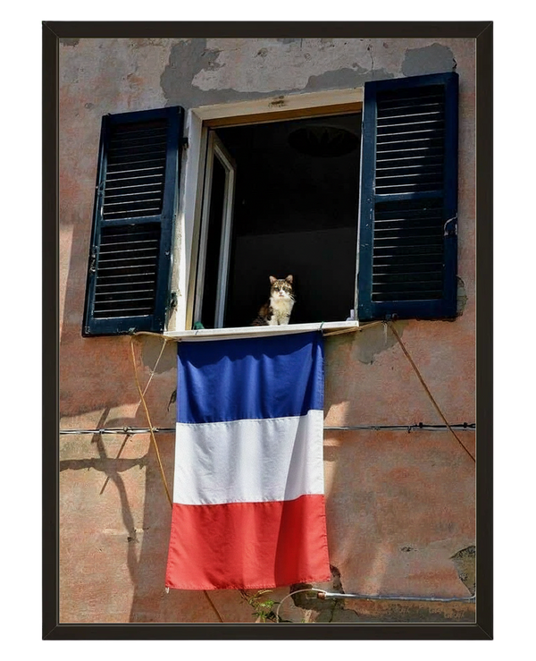 Le Guetteur Francais avec cadre