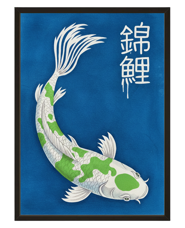 Carpe Koi avec cadre