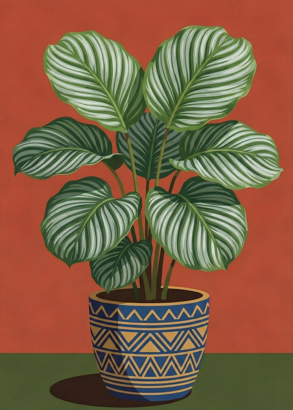 Feuillage Calathea sans cadre