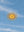 Solstice Argentin sans cadre