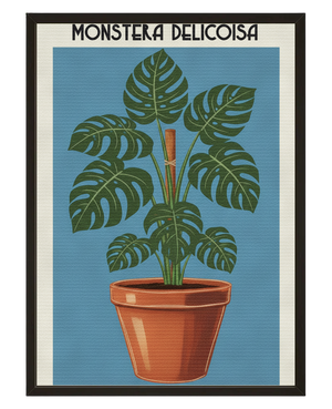 Monstera Deliciosa avec cadre