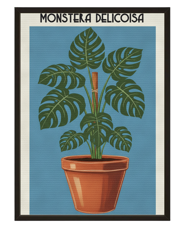 Monstera Deliciosa avec cadre