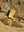Botte D Or sans cadre