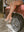 Lavage Mousse sans cadre