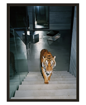 Tiger Loft avec cadre