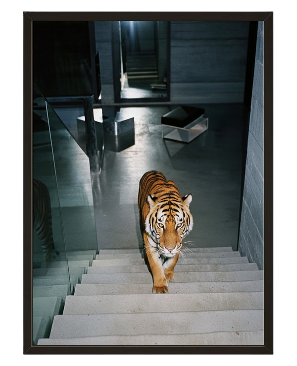 Tiger Loft avec cadre