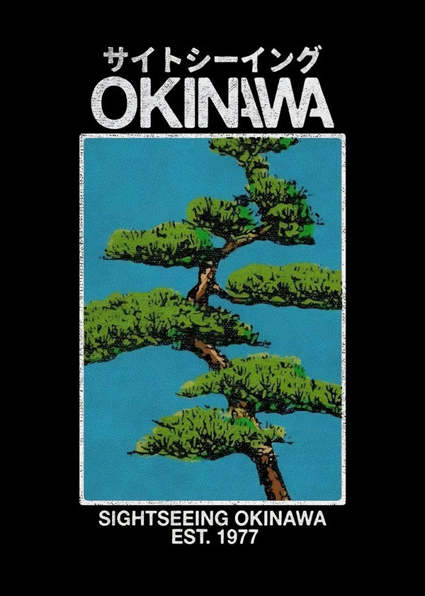 Pins Okinawa sans cadre