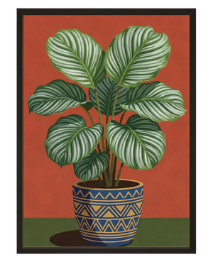 Feuillage Calathea avec cadre
