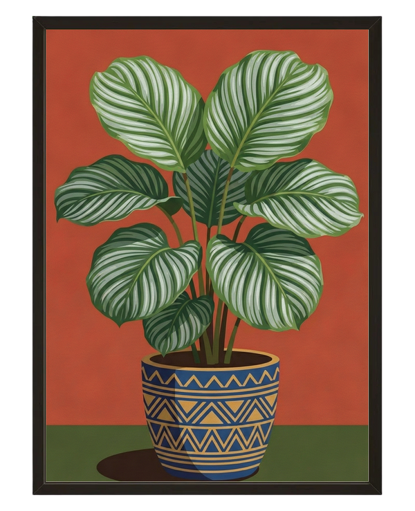 Feuillage Calathea avec cadre