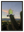 Cactus Rockstar avec cadre