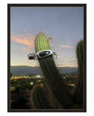 Cactus Rockstar avec cadre