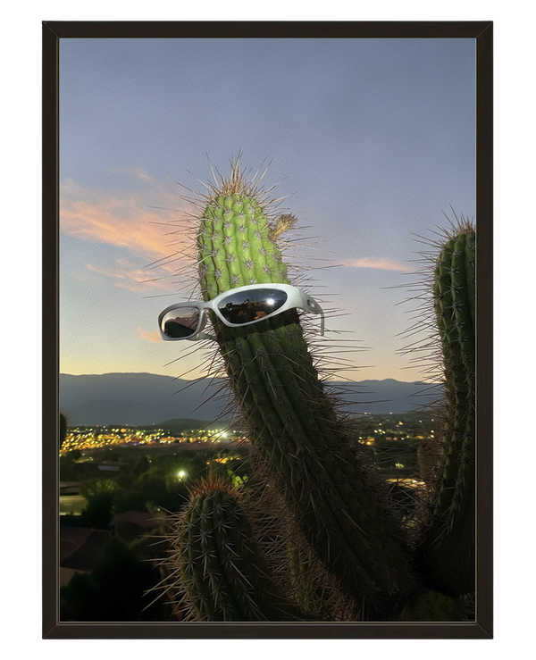 Cactus Rockstar avec cadre