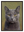 Majeste Feline avec cadre